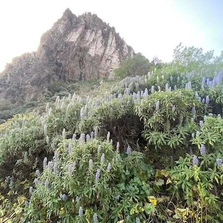 Ruta Del Tajinaste Azul Апартаменты