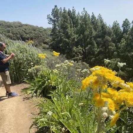 Апартаменты Ruta Del Tajinaste Azul