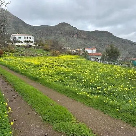 Ruta Del Tajinaste Azul Апартаменты