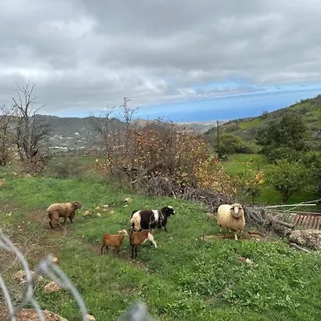 Ruta Del Tajinaste Azul Apartmán